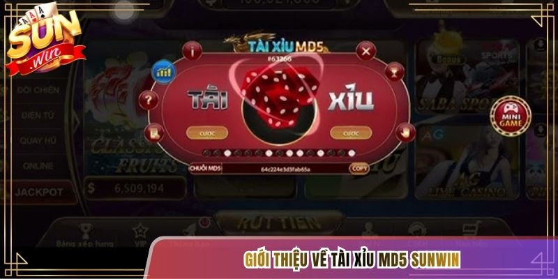 Giới thiệu về Tài Xỉu MD5 Sunwin